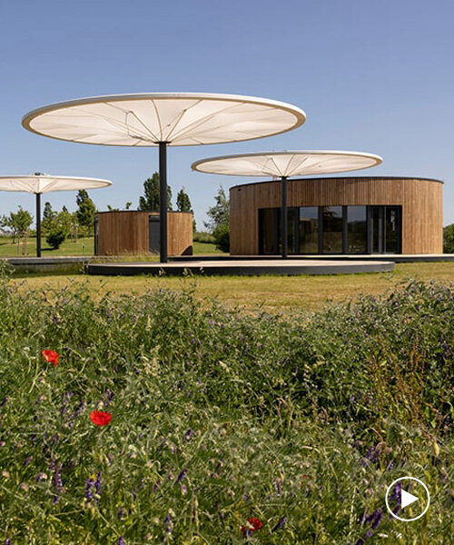 bebunch's wooden pavilions, ponds, and umbrella canopies weave through public park